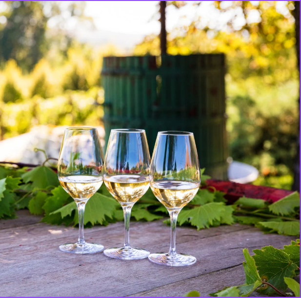 Capture d’écran 2026-02-23 095712