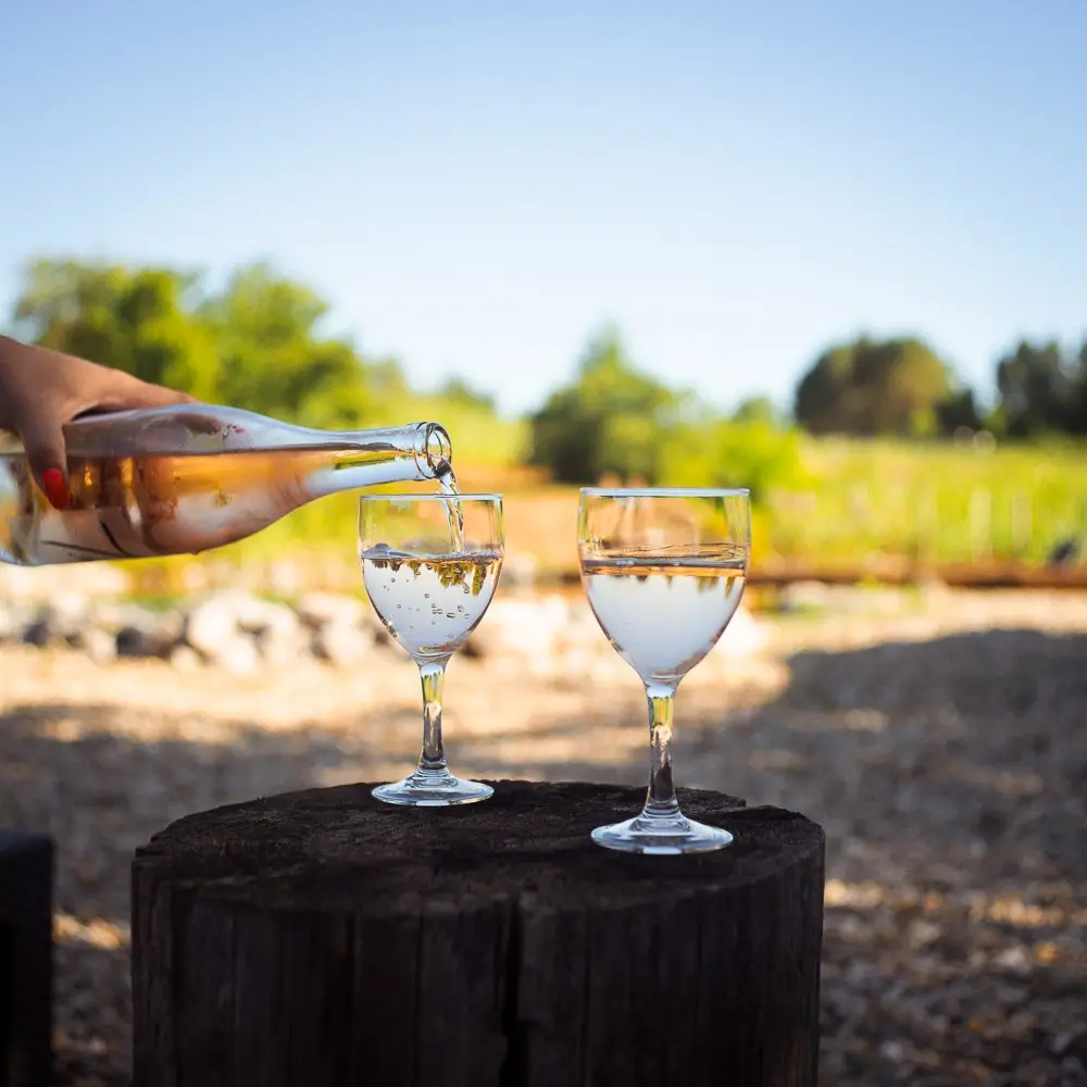 482245470_2818242545027915_241849901967942712_n